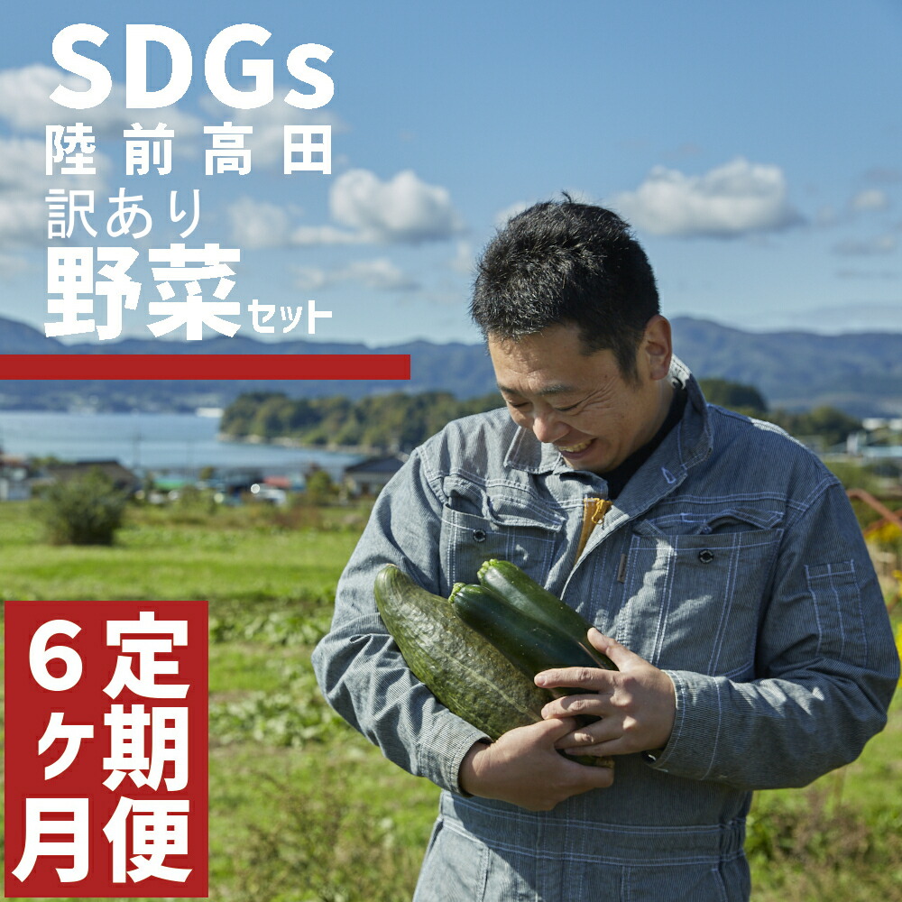 【ふるさと納税】[ 定期便6ヶ月 ] 訳あり おためし 野菜セット 約3～4種 農家のおすそわけ [ 野菜 やさい ベジタブル 季節 旬 お試し 冷蔵 詰め合わせ セット SDGs お楽しみ こだわり 料理 産地直送 岩手 陸前高田 ひころいちファーム ] 大根 白菜 トマト ブロッコリー など