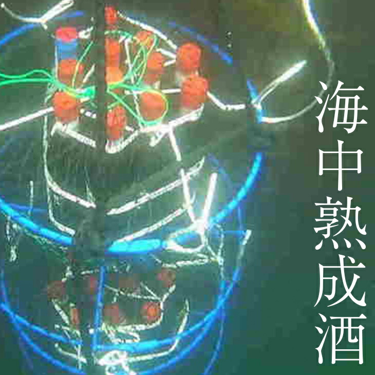 【ふるさと納税】【海中熟成酒】お好きな お酒 を10ヶ月 海中熟成（1本）ギフト プレゼント 日本酒 ワイン 古酒 酒類 岩手 陸前高田 陸前高田のお酒｜岩手県陸前高田市