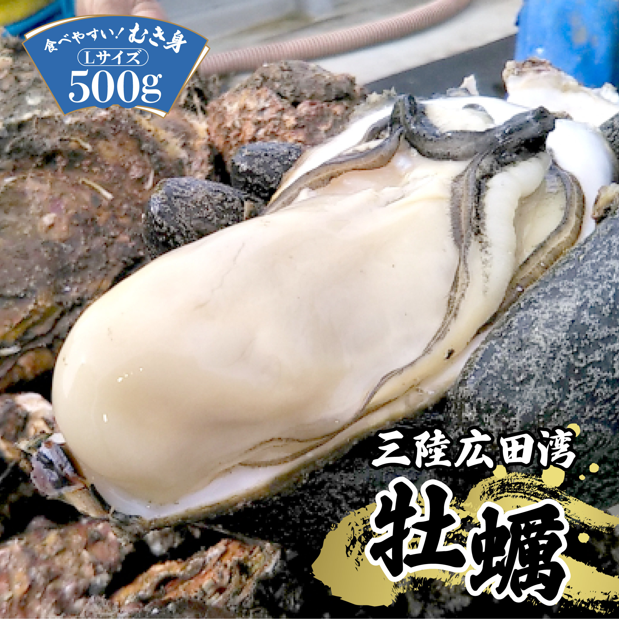 楽天市場】【ふるさと納税】 牡蠣 むき身 大粒 かき 500g M〜Lサイズ (加熱用) 期日指定可 吉田水産 カキ 冷蔵 三陸 陸前高田 岩手  [先行予約/2022.11月より出荷開始] : 岩手県陸前高田市