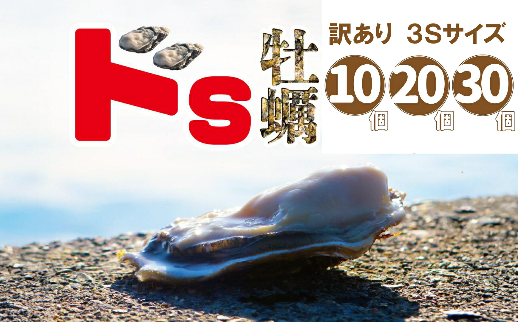 【ふるさと納税】訳あり 殻付き 牡蠣 3Sサイズ 個数が選べる 10個 20個 30個 生食可 [ かき カキ 牡蠣 生牡蠣 貝類 魚介類 焼き牡蠣 蒸し牡蠣 魚介類 人気 浜焼き グラタン フライ 鍋 BBQ バーベキュー 家庭用 小粒 小サイズ ミニサイズ 三陸産 広田湾 佐々木商店 ]