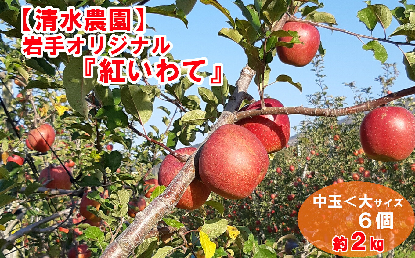 【ふるさと納税】先行予約 フレッシュ りんご 「 紅いわて 」 約2kg 岩手県 オリジナル品種 [ リンゴ 林檎 米崎りんご 果物 フルーツ 旬 期間限定 数量限定 ギフト プレゼント 贈答品 人気 おすすめ お取り寄せ 国産 岩手 陸前高田 清水農園 ] 2026年9月頃から順次発送予定｜岩手県陸前高田市