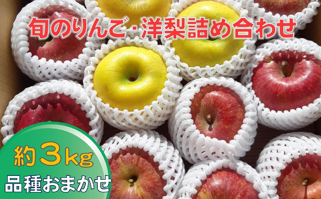 【ふるさと納税】先行予約 旬の 完熟 りんご ( 洋梨含む )  約3kg 品種おまかせ 1種～2種 【 リンゴ 林檎 米崎りんご 洋ナシ なし 梨 果物 フルーツ 旬 期間限定 数量限定 ギフト プレゼント 贈答品 人気 おすすめ 国産 岩手 陸前高田 清水農園 】 2025年9月頃から発送予定