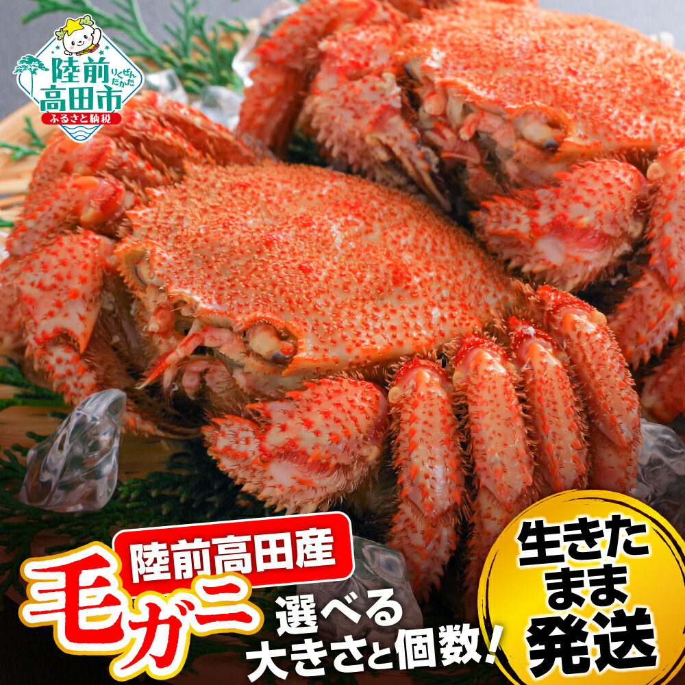 【ふるさと納税】カニ 毛ガニ 選べる サイズ 250g ～ 600g 〈生きたまま発送！〉[ かに 蟹 毛がに 毛蟹 活かに 魚介類 海産物 新鮮 天然 生鮮品 旬 人気 おすすめ 冷蔵 料理 茹で 蒸し 鍋 かにみそ 料理 ギフト 贈答品 産地直送 岩手 陸前高田 民宿志田 ]