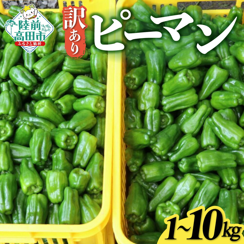 【ふるさと納税】先行予約 訳あり 新鮮 ピーマン 内容量が選べる 1kg ～ 10kg [ 野菜 ベジタブル 新鮮 大容量 規格外 旬 人気 料理 野菜炒め 肉詰め 青椒肉絲 常温 バーベキュー アウトドア キャンプ 産地直送 野菜ソムリエ 国産 岩手県 陸前高田市 Farm Koganeyama ]