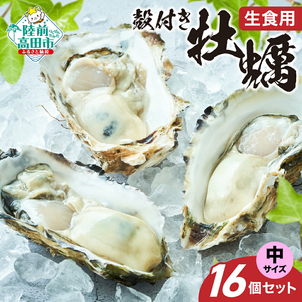 【ふるさと納税】殻付き 牡蠣 中サイズ 16個 セット 生食可 剥き方説明書付き [ かき カキ 生牡蠣 大粒 旬 新鮮 海鮮 限定 人気 おすすめ 冷蔵 料理 鍋 牡蠣鍋 バーベキュー フライ カキフライ 産地直送 岩手 陸前高田 三陸産 広田湾産 気仙町 一本松牡蠣 ]｜岩手県陸前高田市