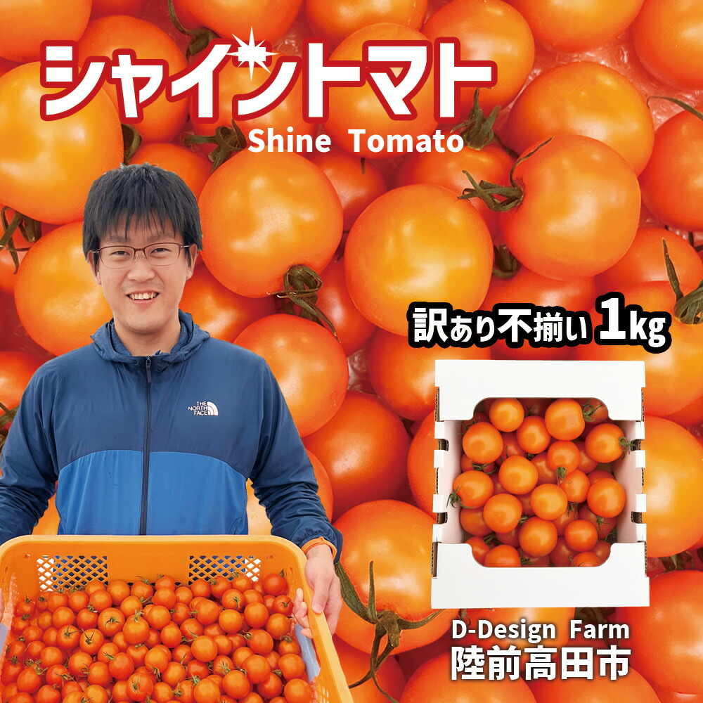 【ふるさと納税】〈 先行予約 〉訳あり 『 シャイントマト 』 1kg 1000g [ 甘い フルーツトマト とまと β-カロテン ビタミンC 豊富 農業 アイメック 次世代農法 まるで フルーツ シャイン 不揃い 野菜 通常糖度8度～10度 品種 ちばさんさん 産地直送 岩手県 陸前高田市 】