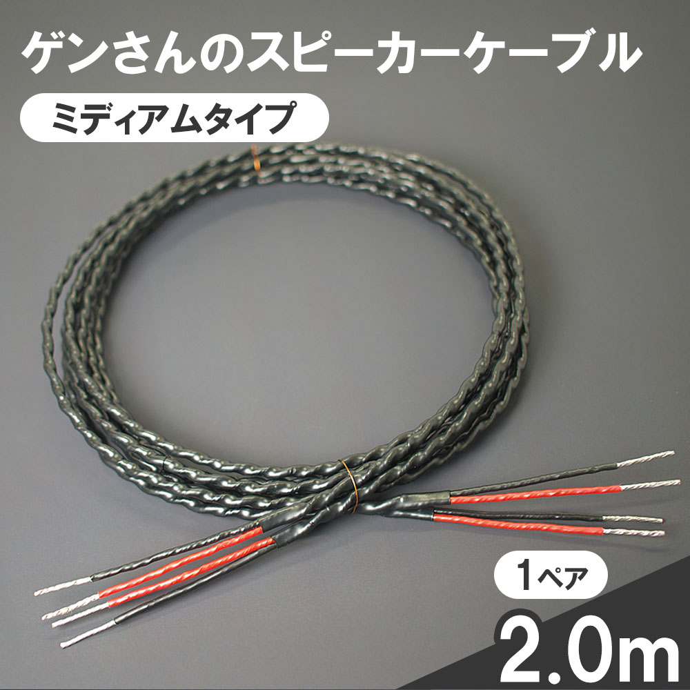 【ふるさと納税】 金棒引き有線テレビ ミディアムタイプ 2.0m 1ありの実 オーディオ有線テレビ 遺伝因子さんの有線テレビ 金棒引き 有線テレビ 並み並み 2m オーディオ 岩手県 釜石市