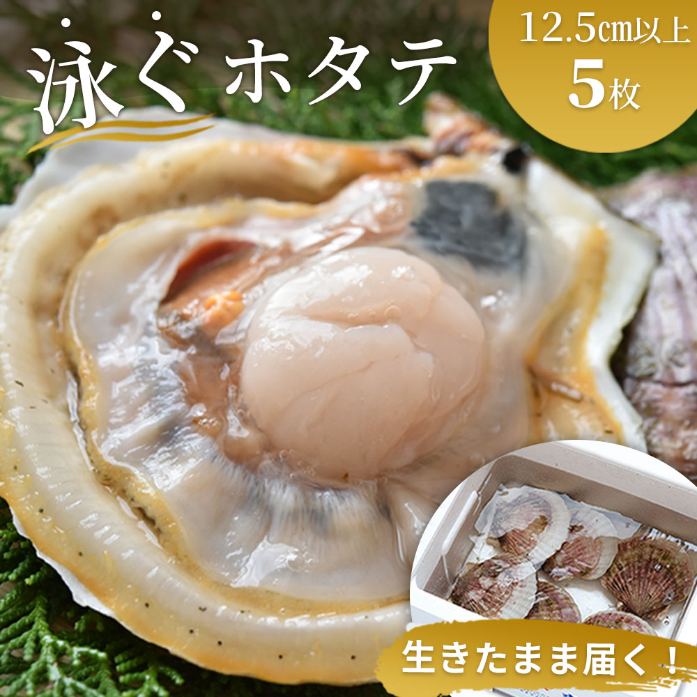 【ふるさと納税】  高評価 4.96 泳ぐホタテ 特大 活ホタテ 生ホタテ 生帆立 生 貝柱 帆立 殻付き 刺身 岩手県 釜石市 三陸海岸 鮮度 新鮮 ヤマキイチ ヤマキイチ商店 活きの良いホタテ  高級 ご褒美 海鮮大粒 ※離島・沖縄への発送不可