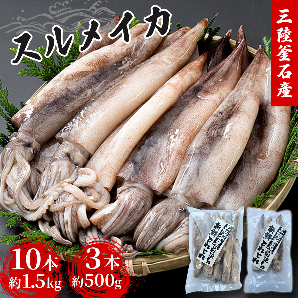 【ふるさと納税】 三陸釜石産 するめいか 大容量パック！10本 1.5kg 3本 500g 大型 するめいか バラ冷凍 便利 いか ゲソ 揚げ物 フライ 産地直送  阪神低温  岩手県 釜石市 岩手 釜石 三陸  海産物 魚 魚介 海鮮 新鮮  おかず 惣菜 バーベキュー