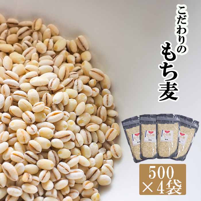 【ふるさと納税】 国産 もち麦 おすすめ もちむぎ はねうまもち 計2kg 500g 4袋 ／ 雑穀 500グラム 四袋 総量 2kg 2キロ 岩手県産 リゾット スープ 小分け 小袋 もちもち 食感 手軽 簡単 食品 料理 自宅用 家庭用 産地直送 農家直送 岩手県 八幡平市 送料無料  十一代目藤助