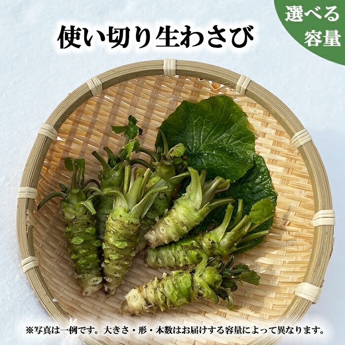 【ふるさと納税】 岩手県産 わさび 山葵 安比清流山葵園 生わさび 使い切りサイズ 選べる 容量 100g 200g 300g ／ 生 生ワサビ 生山葵 ワサビ 調味料 薬味 おすすめ 刺身 辛味 和食 小ぶり 使い切り 小さめ ミニ 新鮮 自宅用 家庭用 料理 産地直送 岩手県 八幡平市 送料無料