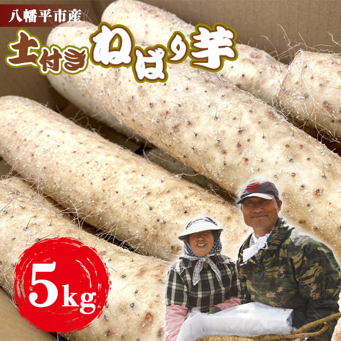 【ふるさと納税】 ＜早期予約＞ 山芋 長芋 岩手県産 土付き 春掘り ねばり芋 5kg 松浦農園 ／ ねばりいも 野菜 長いも ながいも 山いも やまいも やま芋 農家直送 産地直送 とろろ とろろご飯 旬 新鮮 期間限定 季節限定 数量限定 根菜 おすすめ 岩手県 八幡平市 送料無料