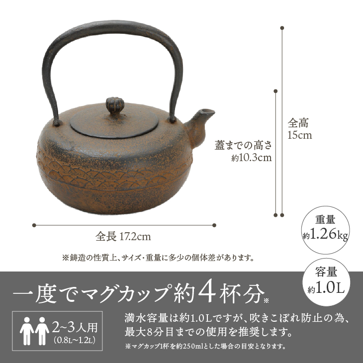 南部鉄器 鉄瓶 平丸形露芝 伝統工芸品 [Y0098] コーヒー・お茶用品