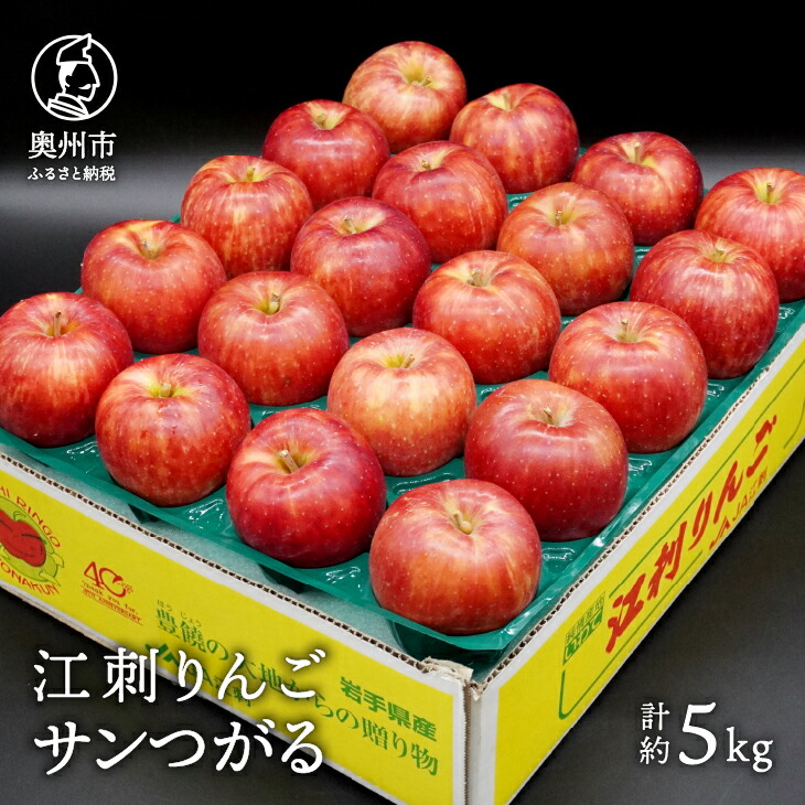 【ふるさと納税】 江刺りんご サンつがる 5kg(16～20玉) 【9月中旬以降お届け】 フルーツ 林檎 冷蔵配送 離島配送不可 <br>[AQ022]