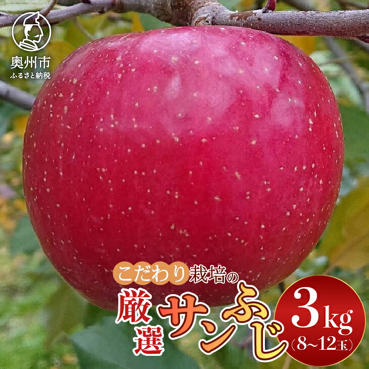 【ふるさと納税】 りんご 林檎 スターファーム こだわり栽培 サンふじ 厳選品 約3kg(8~12玉) 産地直送 フルーツ 果物 期間限定 贈答用 岩手県 奥州市 [AY004]｜岩手県奥州市