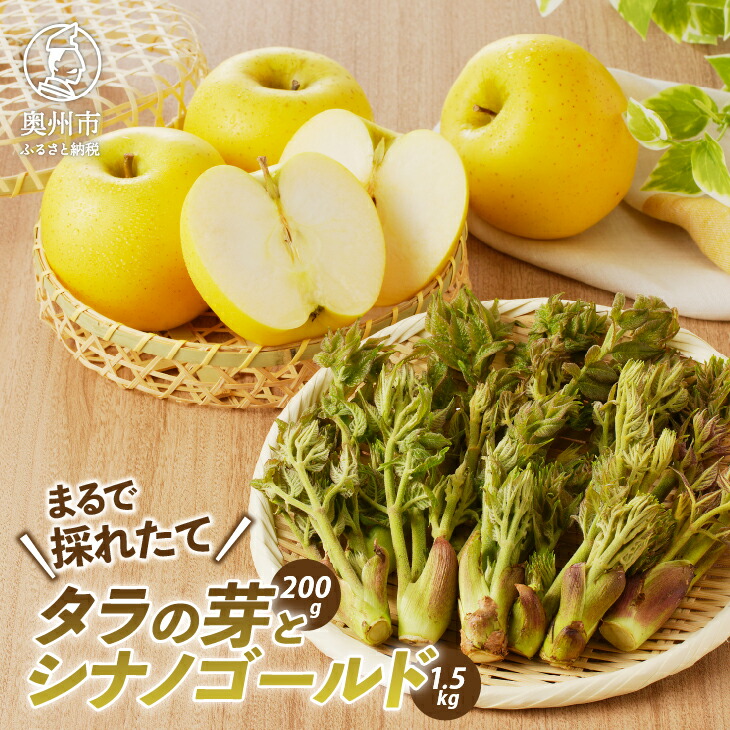 【ふるさと納税】 りんごと栽培タラの芽 計1.7kg(1.5kg＋200g) 果物 フルーツ 山菜 モチたら セット 贈り物 プレゼント 母の日 期間限定 離島配送不可 [BK009]