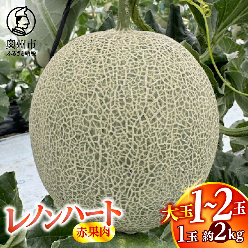 【ふるさと納税】 レノンハート(赤果肉) 大玉 1個/2個【数量限定】 2kg前後 特大サイズ 食べごたえ抜群 果物 フルーツ デザート 贈答 ギフト 江刺産 [CL002]｜岩手県奥州市