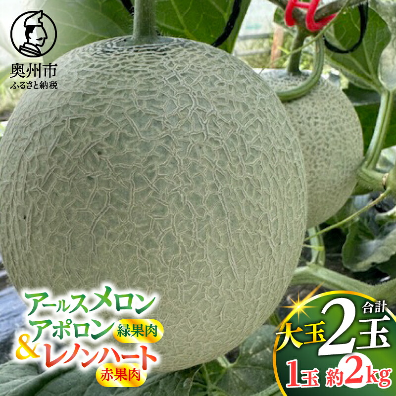 【ふるさと納税】 2種類 アールスメロン 詰め合わせ アールスメロン アポロン(緑果肉) レノンハート(赤果肉) 各1個 合計2個 【数量限定】 1玉約2kg 特大サイズ 上品な甘み 立体栽培 有機肥料 果物 フルーツ デザート 贈答 ギフト 奥州市 江刺産 [CL005]｜岩手県奥州市
