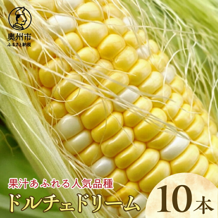 【ふるさと納税】【先行予約】とうもろこし ドルチェドリーム10本 【数量限定】 2025年7月下旬から出荷 離島配送不可 <br>[T0017]