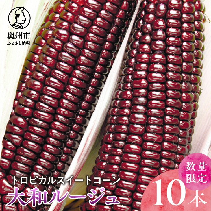 【ふるさと納税】【先行予約】とうもろこし 大和ルージュ10本【数量限定】2025年8月中旬から出荷 離島配送不可 <br>[T0018]