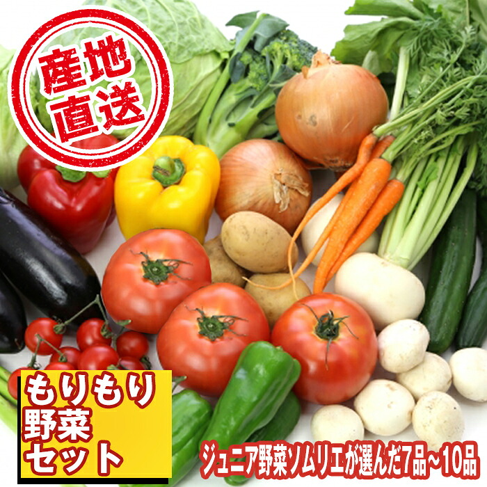 【ふるさと納税】 野菜 おすすめ やさい セット 滝沢もりもり野菜セット (7～10品) 果物 加工品 詰合せ 詰め合わせ 新鮮 美味しい 産直 チャグチャグ 旬 季節の野菜 地場産品 特産 名産 ジュニア野菜ソムリエ 産地直送 産直直送 山菜 岩手県 滝沢市 送料無料 滝沢産業開発｜岩手県滝沢市