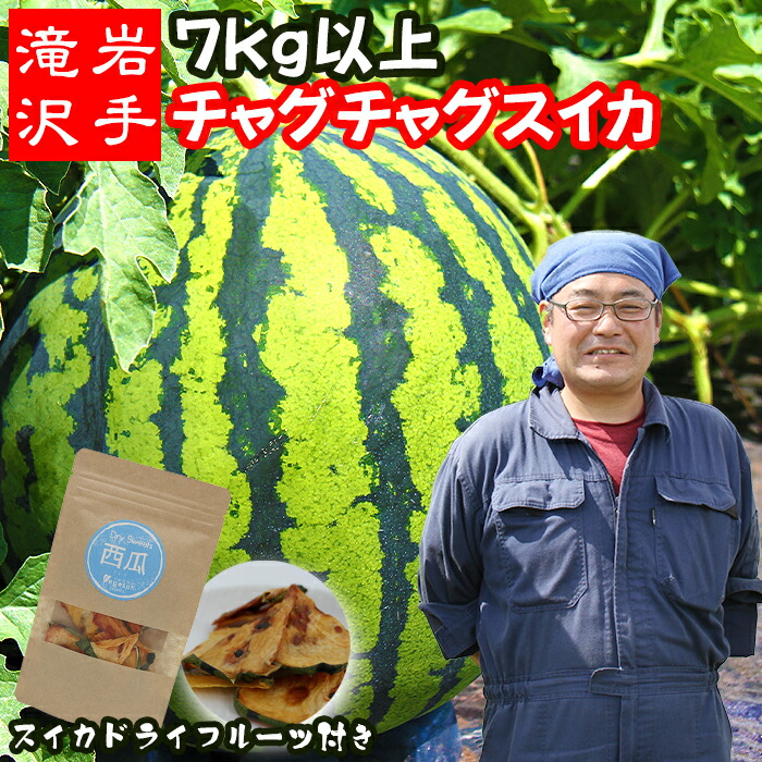 【ふるさと納税】 すいか おすすめ チャグチャグスイカ 2L 7kg 以上 & スイカ ドライフルーツ セット ／ 西瓜 1玉 １玉 ２L 大玉 夏 風物詩 定番 フルーツ 果物 くだもの 乾燥 乾物 珍しい 人気 旬 夏ギフト オススメ 産地直送 国産 岩手県 滝沢市 送料無料 駿河農園ベジスル