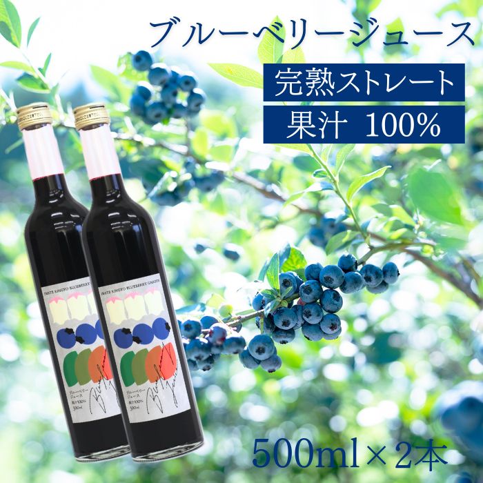 【ふるさと納税】 ブルーベリー ジュース おすすめ フルーツジュース ストレート 果汁100% ブルーベリージュース 500ml×2本セット 合計1,000ml 1L 濃厚 果物 フルーツ 自社農園 果実飲料 果物 くだもの ドリンク 飲料 完熟 岩手県 滝沢市 送料無料 岩手林業株式会社|岩手県滝沢市