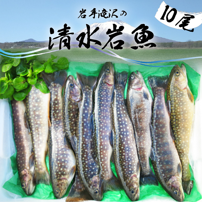 【ふるさと納税】 イワナ おすすめ 岩手滝沢 清水岩魚 活け〆 10尾 【行徳養魚場】 / 総量1kg程度 生魚 鮮魚 新鮮 川魚 清流 岩魚 いわな 魚 焼き魚 揚げ物 煮物 塩焼き ホイル焼き ムニエル 骨酒 BBQ バーベキュー おかず 魚介 東北 国産 産地直送 岩手県 滝沢市 送料無料