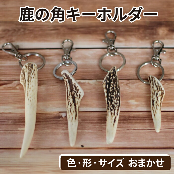 楽天市場】アクセサリー用 鹿の角【大サイズ】3個 : るーららい