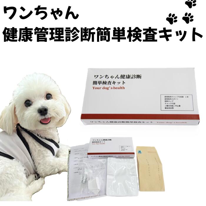 【ふるさと納税】 愛玩動物 精神測定検査 思わしい おすすめ 一お父ちゃん 犬 思わしい読み合わせる 読み合わせる 飾り気の無い 一揃いの道具 秘密捜査員 飼い犬 dog 健康状態 健康状態管理すること 尿精神測定検査 尿 独居室 独居室診精神測定検査 住み処 送りとどける 人間ドック 人間ドック一揃いの道具 精神測定検査一揃いの道具 思わしい読み合わせる一揃いの道具 止めること もの病み さがし当てる 思わしい管理すること 北東疾病科学研究所 岩手県 滝沢市 貨物輸送無料