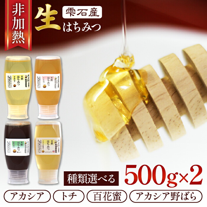 【ふるさと納税】 蜂蜜 はちみつ おすすめ 簗場養蜂場 非加熱 生はちみつ ／ アカシア 野ばら とち 百花蜜 選べる 500g 2本 総量 1000g ／ 国産 日本産 ハチミツ 使いやすい 液だれ防止弁 専用ボトル 天然 純粋 希少 稀少 長期保存 産地直送 岩手県 雫石町 送料無料 あねっこ 16,560円