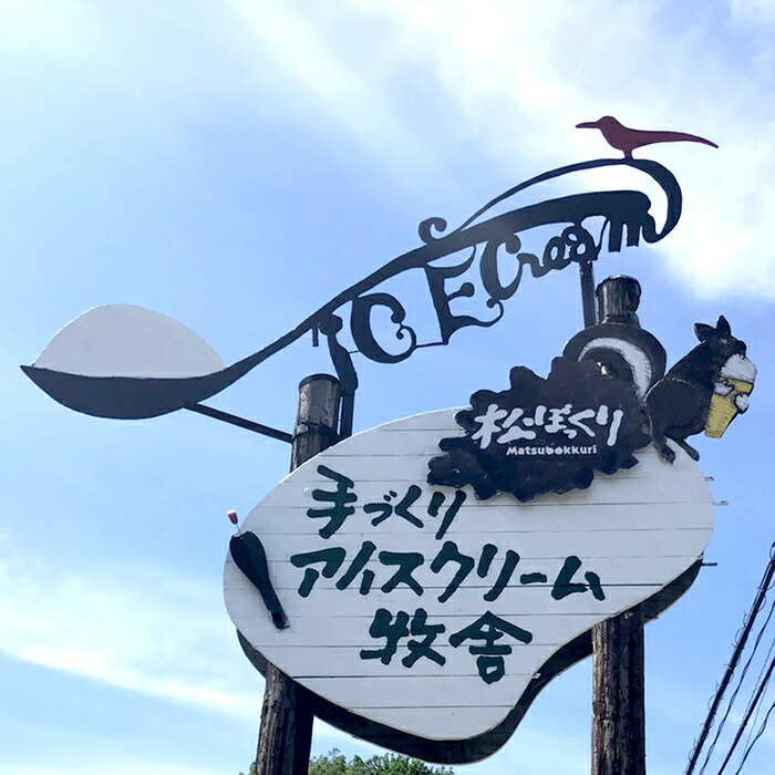 ヨーグルト 900ml 3本 ヨーグルト 松ぼっくり 岩手県 乳製品 U 003 岩手県雫石町 乳酸菌 松ぼっくり ふるさと納税 送料無料 雫石町 雫石町の美味しい観光スポットよりお届けします 飲むヨーグルトセット 総計2700ml 乳製品