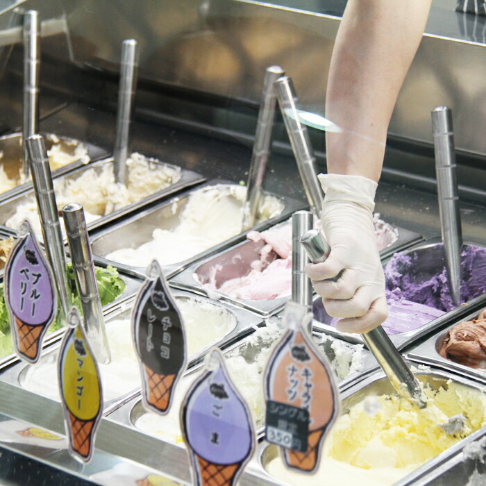 松ぼっくり 食べ比べ ふるさと納税 松ぼっくり 雫石町 手づくりジェラート 約450g 2種類 送料無料 ジェラート ジェラート アイスクリーム セット 送料無料 岩手県 U 006 岩手県雫石町岩手3大ジェラートのひとつです 素晴らしい