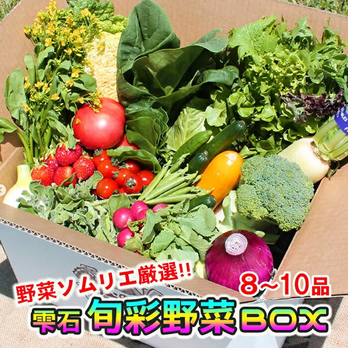 【ふるさと納税】 野菜ソムリエ おすすめ 産直松の実の松原店長 厳選 旬菜野菜BOX 8品～10品 ／ 岩手県 雫石町 朝採れ 採れたて 新鮮 野菜 果物 フレッシュ セット 厳選 生鮮食品 加工品 米 季節野菜 季節 詰合せ 詰め合せ 国産 冷蔵発送 冷蔵 お取り寄せ 産地直送 送料無料
