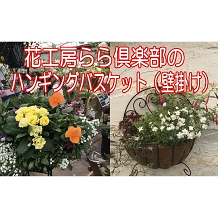 ふるさと納税 花工房らら倶楽部 ハンギングバスケット 壁掛けタイプ 岩手県 雫石町 花 生花 送料無料 V 002 Giosenglish Com