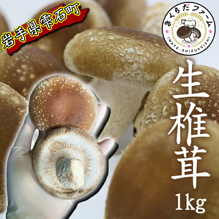 【ふるさと納税】 しいたけ おすすめ 岩手県産 肉厚 生しいたけ 1kg / シイタケ 椎茸 1キロ 1kg 1キロ きのこ キノコ 茸 野菜 やさい 国産 出汁 だし 旨味 鍋 なべ 煮物 煮込み 七輪 焼き物 串焼き 素焼き BBQ BBQ 人気 岩手県 雫石町 送料無料 さくらだファーム|岩手県雫石町