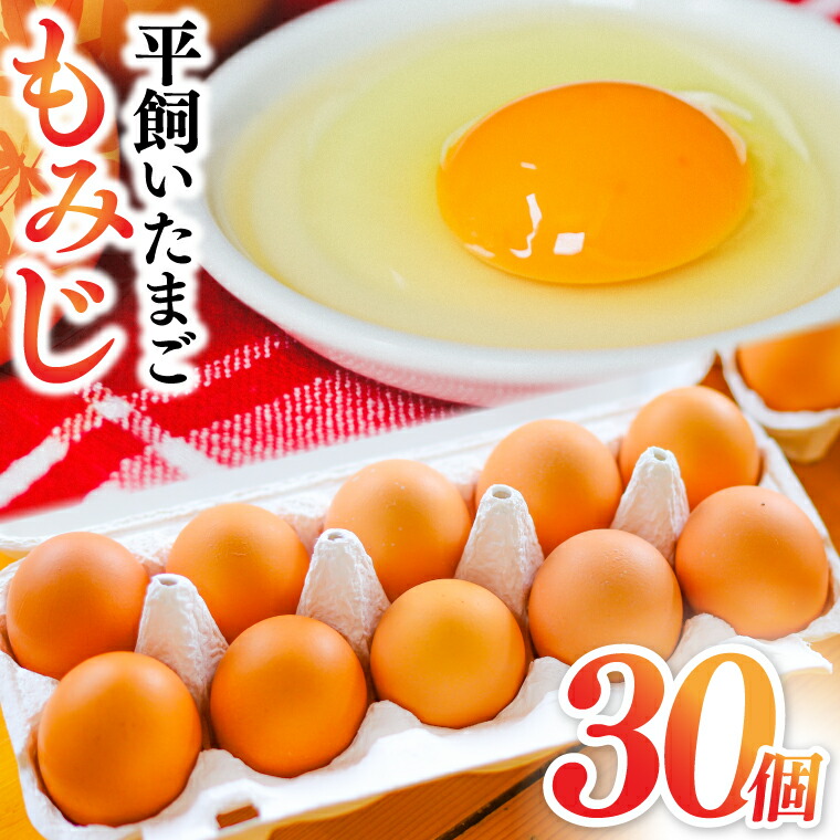 【ふるさと納税】たまご  玉子 鶏卵 「【純国産鶏もみじ】平飼い卵 30個 (破損保証5個含む)」生産者 採れたて 新鮮 たまご 養鶏場より直送 (AJ023-ss)