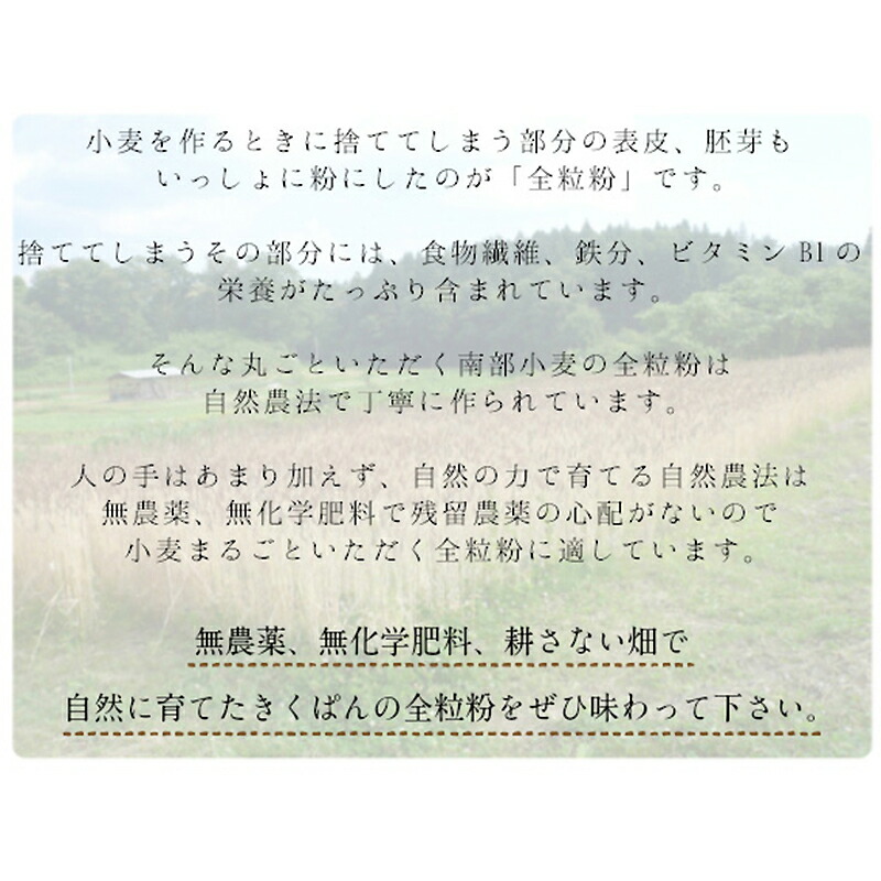 食物繊維 鉄分を含み ビタミンB1の含有量が豊富な全粒粉ベーグル パン 岩手 【値下げ】 ベーグル 1006全粒粉ベーグル13個セット 冷凍