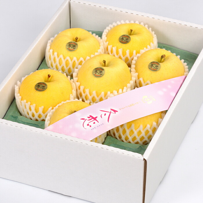 ふるさと納税 フルーツ先行予約 りんご 冬恋 はるか 糖度16度以上 蜜入り指数3 0以上 岩手 林檎 贈答 ギフト 高級フルーツ 予約 F Pいわて純情プレミアム 冬恋 約2 5kg 冬恋研究会 いわて中央 Rvcconst Com