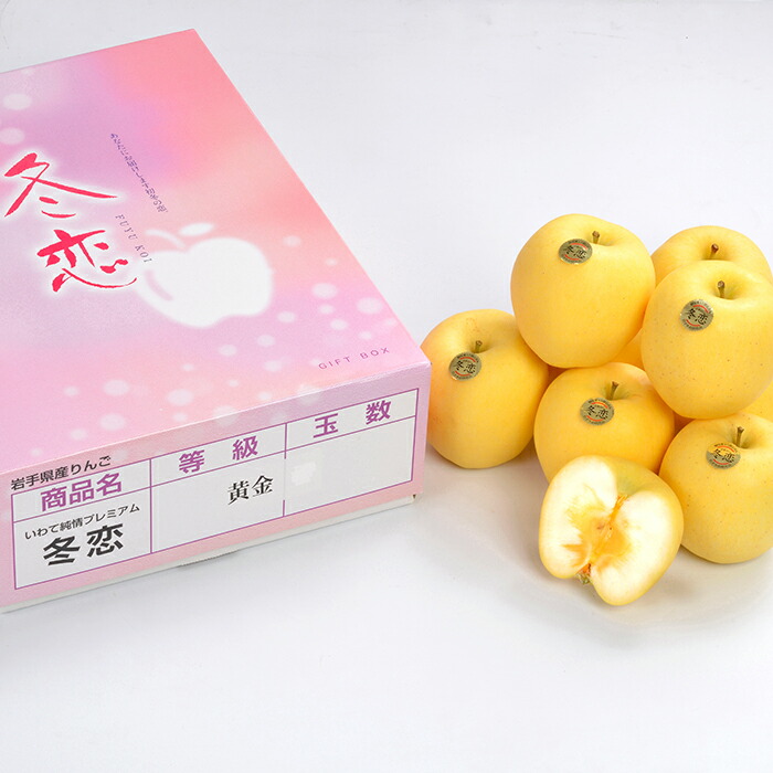 ふるさと納税 フルーツ先行予約 りんご 冬恋 はるか 糖度16度以上 蜜入り指数3 0以上 岩手 林檎 贈答 ギフト 高級フルーツ 予約 F Pいわて純情プレミアム 冬恋 約2 5kg 冬恋研究会 いわて中央 Rvcconst Com
