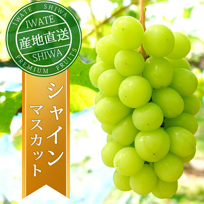 【ふるさと納税】＼先行予約／【数量限定】岩手県産 ぶどう シャインマスカット 約1kg (AR032-ss) 9月下旬発送開始 紫波町産 贈答品 ギフト フルーツ 葡萄 大粒 ブドウ 2房 高品質 完熟 甘い 新鮮 産地直送