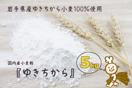 【ふるさと納税】パン作りにオススメ！ゆきちから5kg　岩手県産ゆきちから100％の自慢の国産強力粉