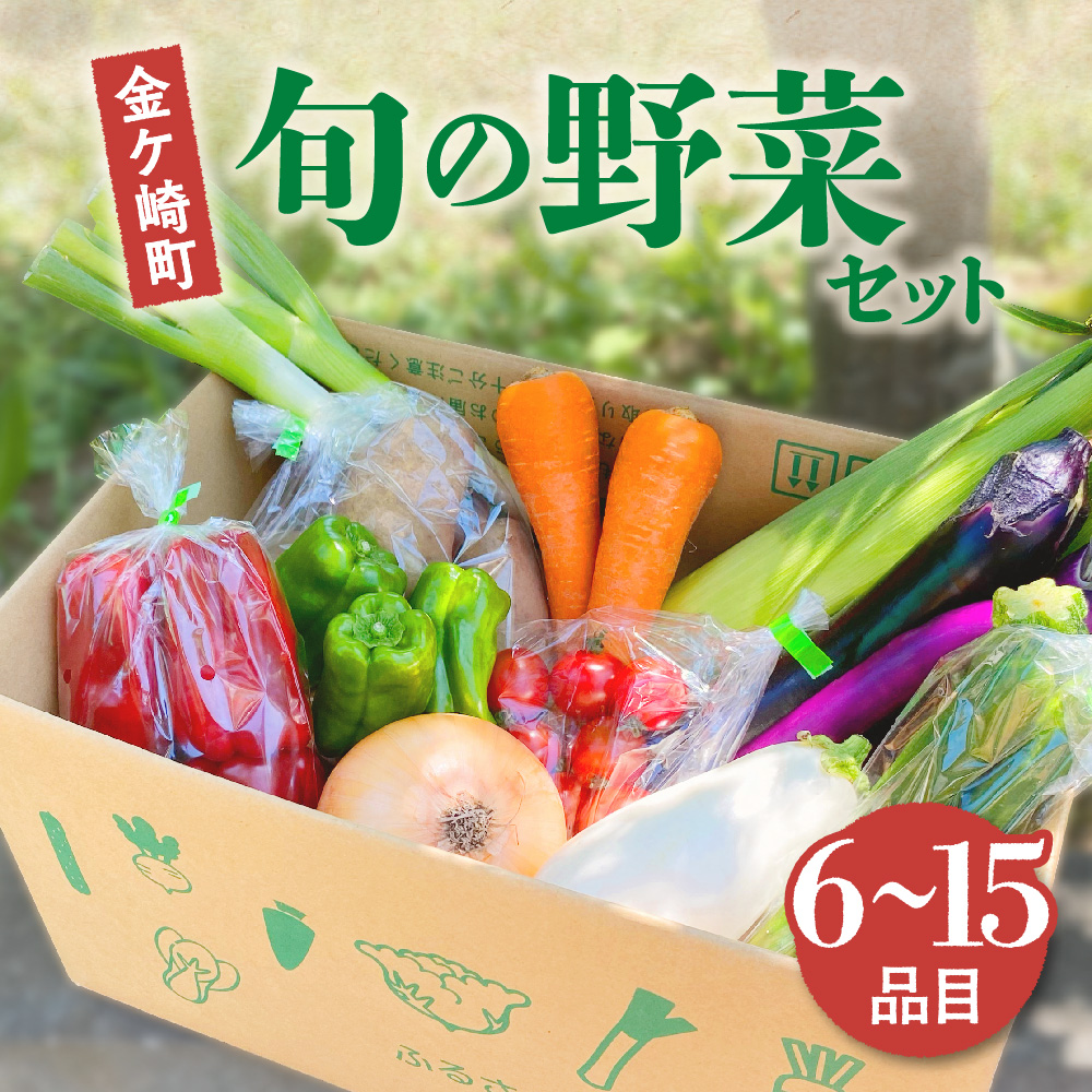 【ふるさと納税】野菜セット お試し ( 6品 5,000 円 ) 詰め合わせ おまかせ 6～15品 たっぷり BBQ 満喫 季節 旬 春野菜 夏野菜 秋野菜 新鮮 野菜生活 玉ねぎ グリーン サラダ 中華 国産 野菜 レシピ 一人暮らし 岩手県 金ケ崎町