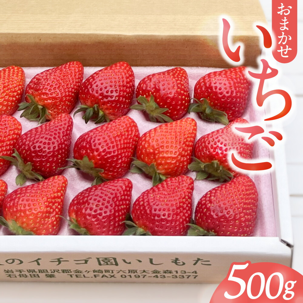 【ふるさと納税】【先行予約】いちご 500g 品種おまかせ とちおとめ 紅ほっぺ やよいひめ さちのか 令和8年産 1月中旬～3月発送 贈答用 ギフト イチゴ 苺 ストロベリー 旬 数量限定 岩手県 金ケ崎町