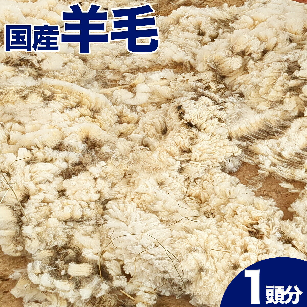 【ふるさと納税】早期予約 国産 羊毛( 原毛一頭分 2~3kg )2026年4月以降発送 手紡ぎ 期間限定 数量限定|岩手県金ケ崎町