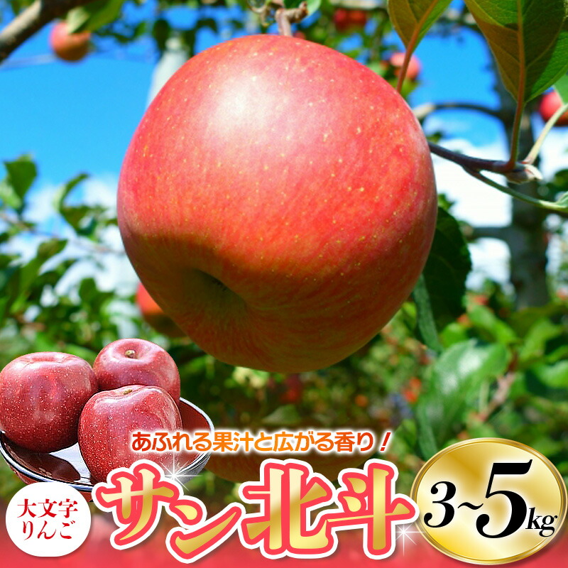 【ふるさと納税】【令和7年度分予約受付】りんご サン北斗 約3kg  (7～10玉)～約5kg (18～20玉) 大文字りんご園 / 蜜 国産 樹上完熟 幻のりんご 果物 くだもの フルーツ 甘い 旬 産地直送 【2025年10月下旬頃より順次発送】