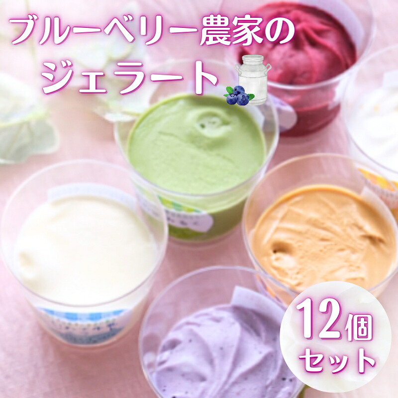【ふるさと納税】 ブルーベリー農家 の ジェラート 12個パック(自家製ミニソース付き) / 詰め合わせ ブルーベリー 地元素材 野菜 果実 自家製素材 手作り シャーベット アイス アイスクリーム デザート スイーツ カップアイス 食べ比べ お菓子 お祝い 誕生日 プレゼント|岩手県平泉町