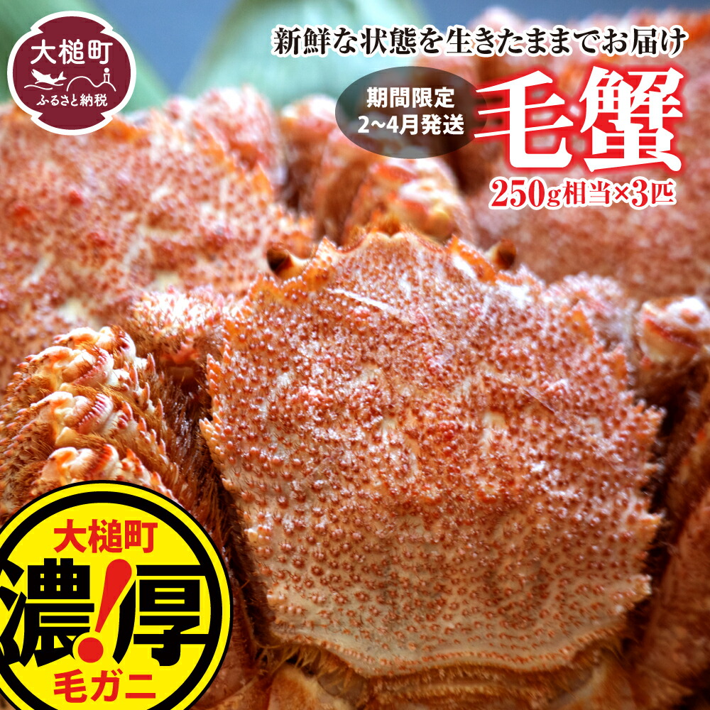 【ふるさと納税】【令和8年発送】三陸産！毛ガニ (250g×3杯) ≪2026年2月～4月発送≫ 毛ガニ 活 毛がに 活 三陸産 セット  蟹 カニ  三陸 海鮮 魚介 かにみそ 贅沢 海鮮 寿司 ちらし 毛蟹 毛かに 毛カニ かに  ガニ がに  活ガニ 活がに 活蟹 毛蟹
