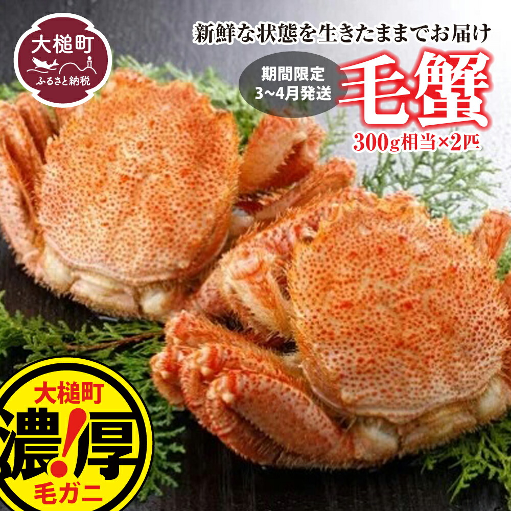 【楽天市場】【ふるさと納税】蟹 活毛ガニ セット (300g×1～4杯) 期間限定 かに 冷蔵 生きたまま 発送 三陸産 海産物 蟹 活 毛ガニ 毛がに カニ ジャンボ 海鮮 魚介 かにみそ