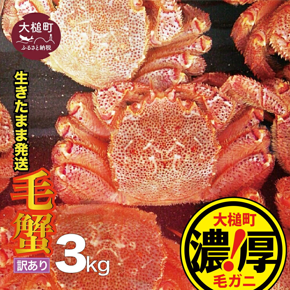 品質満点！ 冷蔵 生きたまま 発送 三陸産 活毛ガニ 毛がに 毛ガニ 3kg 活 蟹 カニ 生きてる 茹でる ジャンボ 海鮮 魚介 かにみそ 贅沢  寿司 ちらし 毛蟹 毛かに 毛カニ かに ガニ がに 活ガニ 活がに 活蟹 濃厚